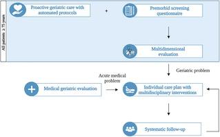 From research to daily clinical practice: implementation of orthogeriatric co-management in the trauma ward